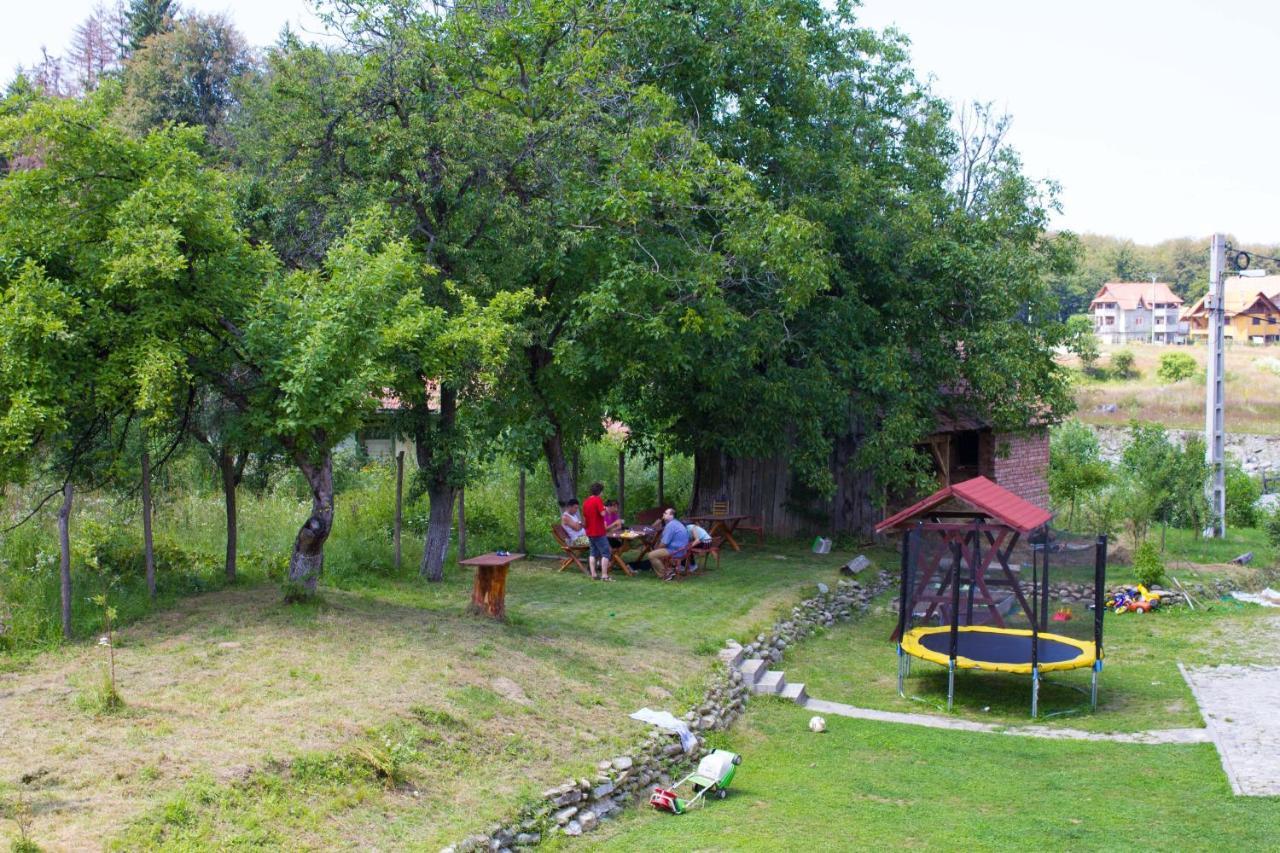 Pension Belmonte Sîmbăta de Sus Buitenkant foto